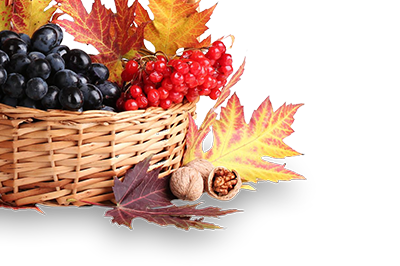 Harlacher Fruchtwein